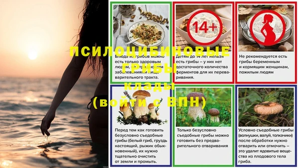 мяу мяу мука Болохово