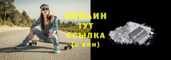 дмт Белокуриха