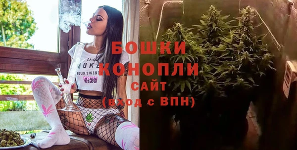дмт Белокуриха