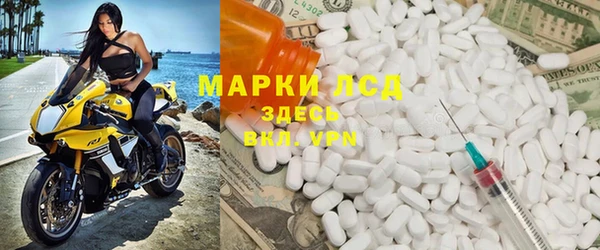 гидра Шенкурск
